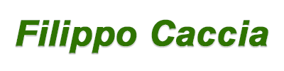 Logo  Filippo Caccia